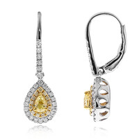 14K SI2 Yellow Diamond Gold Earrings (CIRARI)