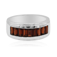 Mozambique Garnet Silver Ring