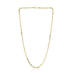 Silver Chain