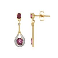 Rhodolite Silver Earrings