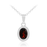 Garnet Silver Necklace