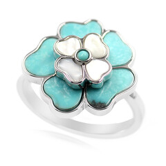 Campitos Turquoise Silver Ring (Anne Bever)