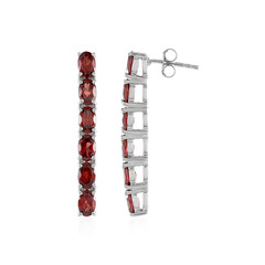 Mozambique Garnet Silver Earrings