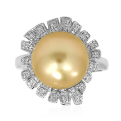Kabira Golden South Sea Pearl Silver Ring (TPC)