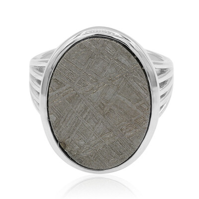 Iron Meteorite Silver Ring