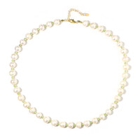 Freshwater pearl Silver Necklace