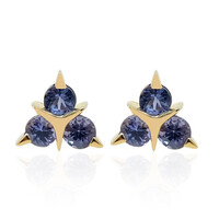 9K Tanzanite Gold Earrings (de Melo)