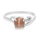 Cat´s Eye Scapolite Silver Ring