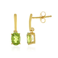 Russian Diopside Silver Earrings