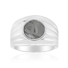 Aletai-Meteorite Silver Ring