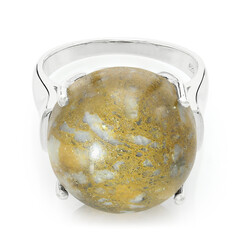 Dinosaur Bone Silver Ring