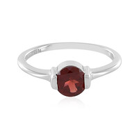 Mozambique Garnet Silver Ring