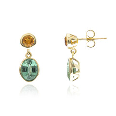 9K Mint Kyanite Gold Earrings (CUSTODANA)