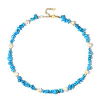 Blue Howlite Silver Necklace (Riya)