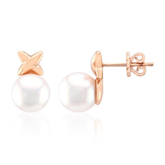 9K Akoya Pearl Gold Earrings (TPC)