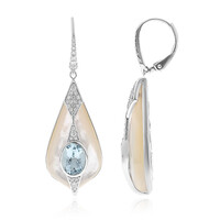14K AAA Brazilian Aquamarine Gold Earrings (CIRARI)