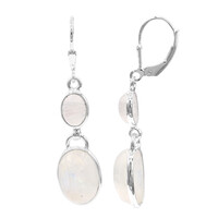 Rainbow Moonstone Silver Earrings