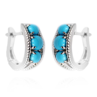Sleeping Beauty Turquoise Silver Earrings (Anne Bever)