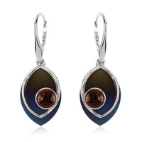 Baltic Amber Earrings