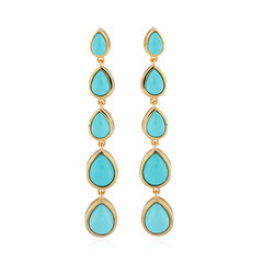 Sleeping Beauty Turquoise Silver Earrings (de Melo)