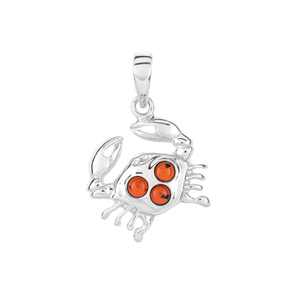 Baltic Amber Silver Pendant (dagen)