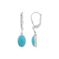 Sleeping Beauty Turquoise Silver Earrings