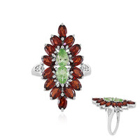 Merelani Garnet Silver Ring