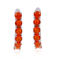 Orange Ethiopian Opal Silver Earrings
