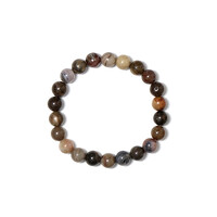 Petrified Wood Bracelet