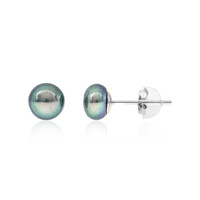 Freshwater pearl Silver Earrings