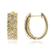 14K SI2 Fancy Diamond Gold Earrings (CIRARI)