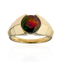 9K Mezezo Opal Gold Ring (de Melo)