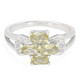 Xia Apatite Silver Ring
