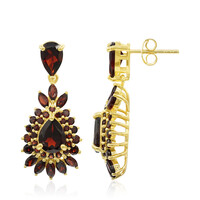Garnet Silver Earrings