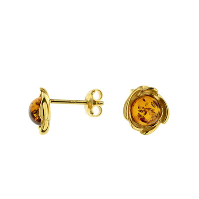 Baltic Amber Silver Earrings (dagen)