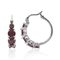 Ruby Silver Earrings
