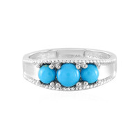 Sleeping Beauty Turquoise Silver Ring (Anne Bever)