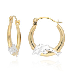 9K Gold Earrings
