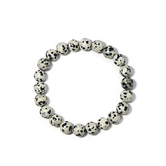 Dalmatian Jasper other Bracelet