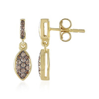 Brown Zircon Silver Earrings
