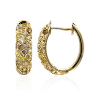 14K SI2 Fancy Diamond Gold Earrings (CIRARI)