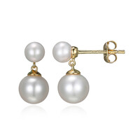 Freshwater pearl Silver Earrings