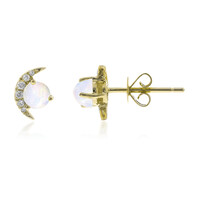 14K AAA Welo Opal Gold Earrings (CIRARI)