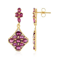 Rhodolite Silver Earrings