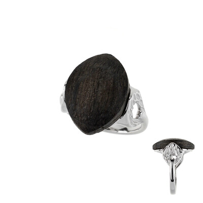 Black Oak Silver Ring (dagen)