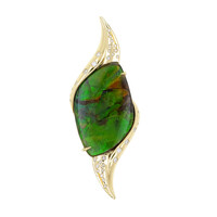 14K Ammolite Gold Pendant (de Melo)