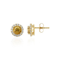 Yellow Zircon Silver Earrings