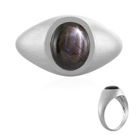 Black Star Sapphire Silver Ring