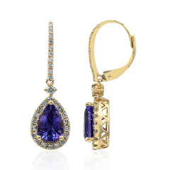 14K AAA Tanzanite Gold Earrings (CIRARI)