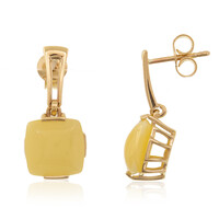 9K Baltic Amber Gold Earrings